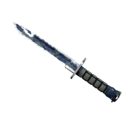 Штык-нож | Чистая вода (Закалённое в боях)..