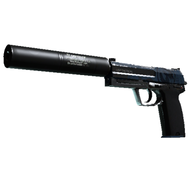 USP-S | Страж (После полевых испытаний)